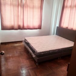 Boundary Road (D19), Terrace #578783941